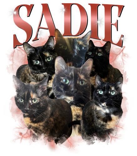 Sadie.png