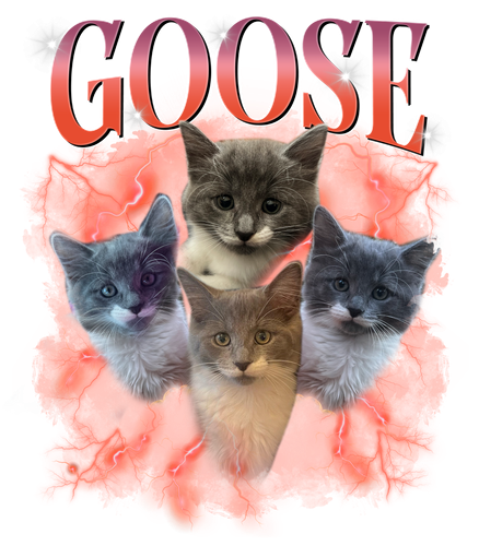 3099232677.png
