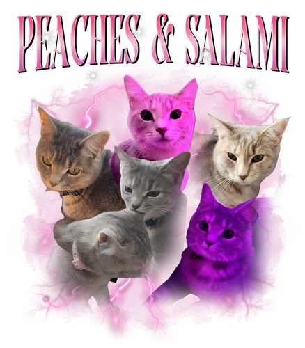 peacher & salami.png