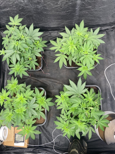 6A3129E2 BB99 4E73 BD0B 1CA88DF0224A.jpg