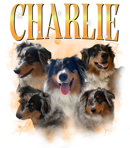 chảlie.png