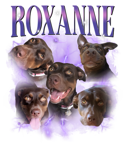 roxanne.png
