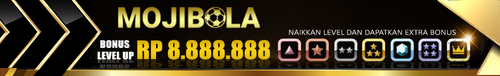 BONUS LEVELUP.png
