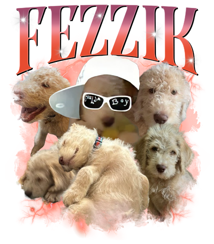 FEZZIK.png