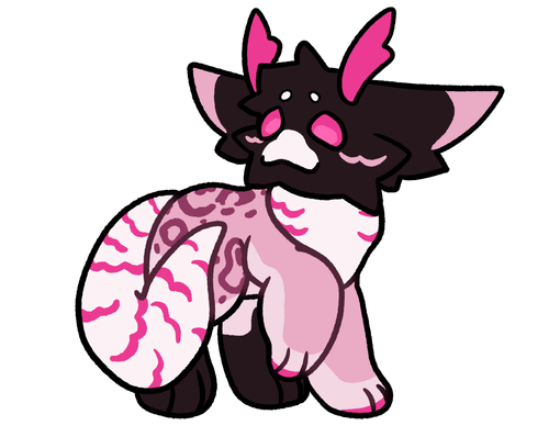 IMG 0329.png