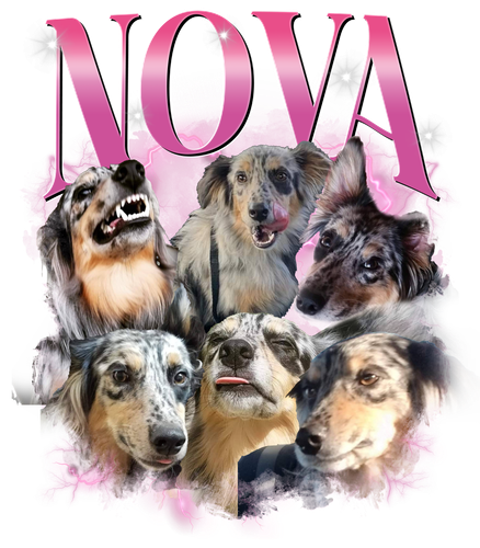NOVA.png