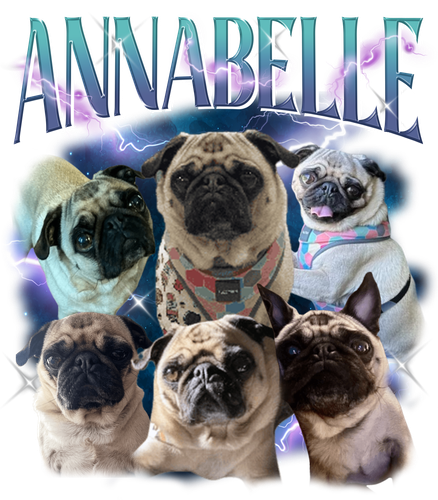 annabelle 3114263238.png