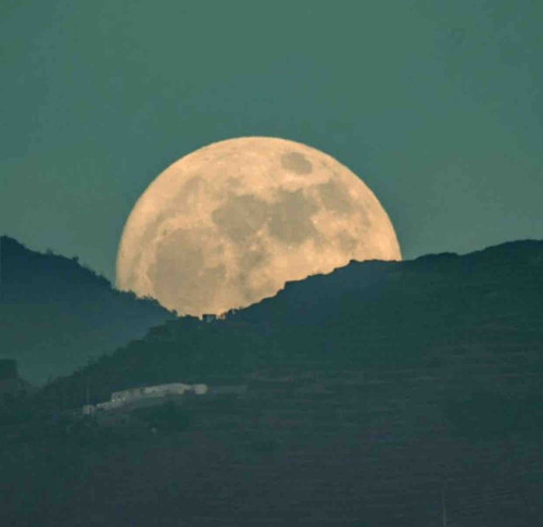 D3A42CBE C498 4DC1 903A 2F0506236034.jpg