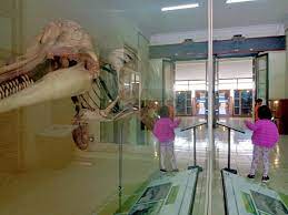 Museum Biologi UGM.jpg