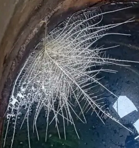 IMG 20231130 000805 982.jpg