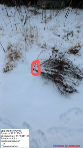 20231130 092352~2.jpg