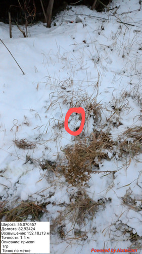 20231130 092247~2.jpg