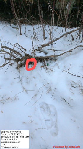 20231130 092315~2.jpg