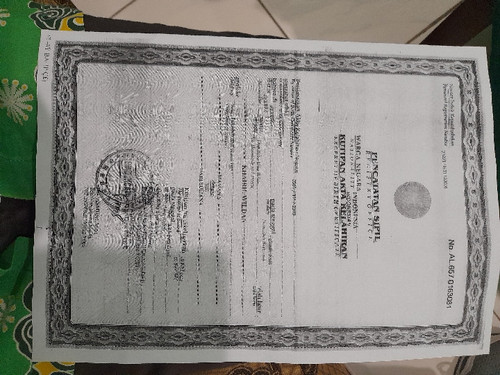 scaled 20231130 114655.jpg