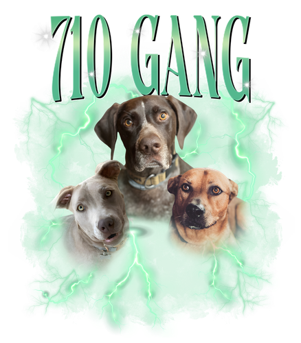 710 gang.png