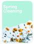 spring cleaning.png