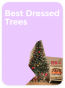 best dressed trees.png