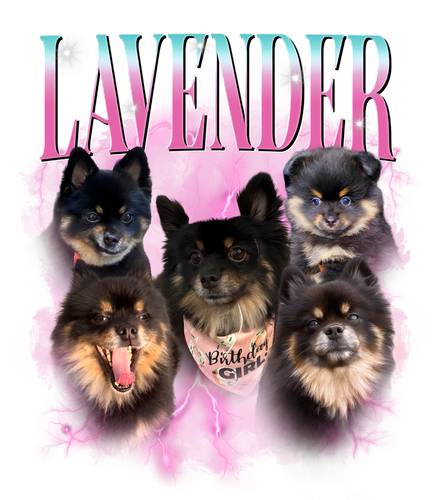 lavender.png