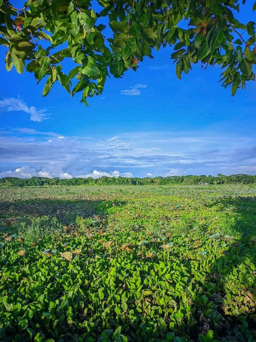 received 179866735196276.jpg