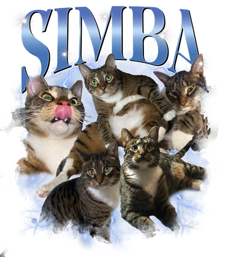 SIMBA.png