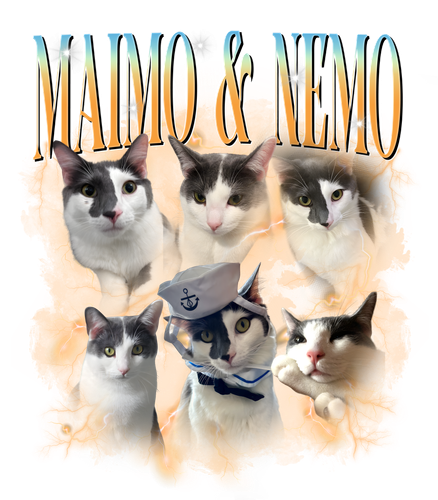 maimo & nemo.png
