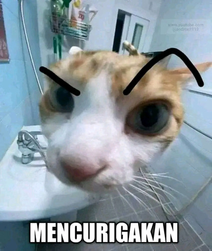image.jpg