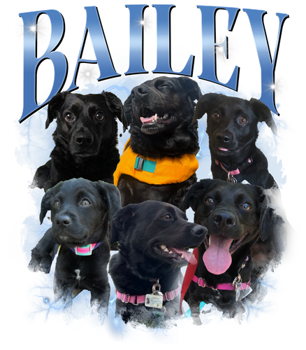 bailey.png