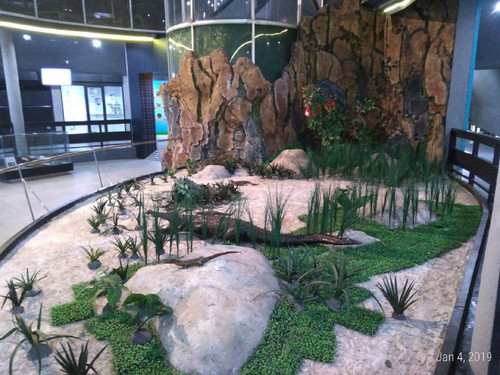 museum komodo12 1.jpg