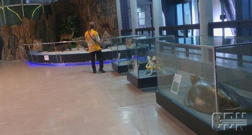 museum komodo 1.jpg