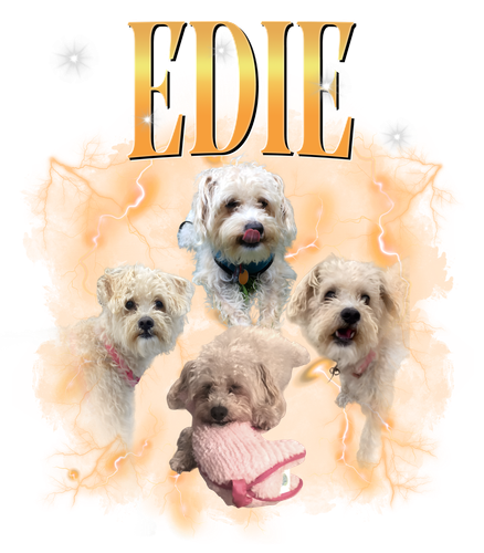 edie.png