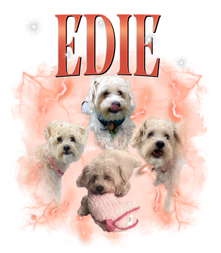 edie1.png