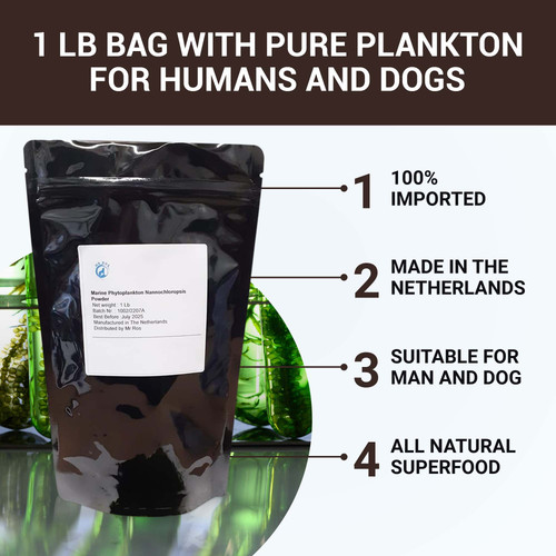 Mushroom coffee 6.jpg