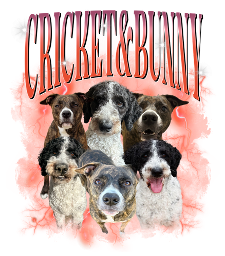 cricket&bunny.png
