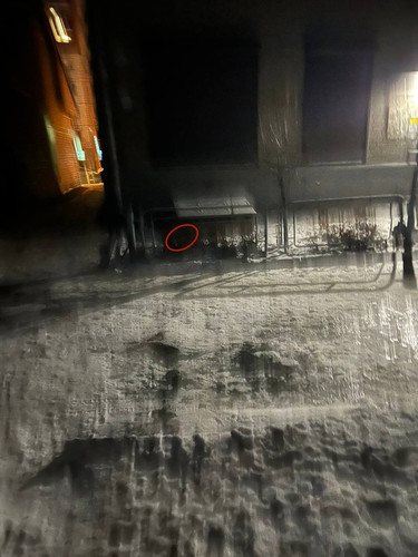 photo 5420426032848162277 y.jpg