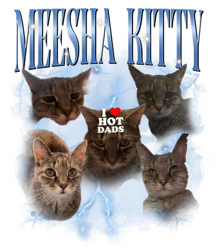 meesha kitty.png