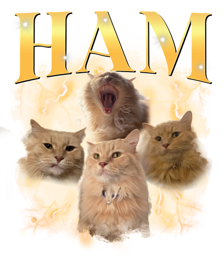 ham.png
