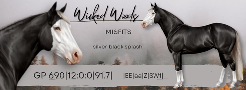 20231129 115729 0014.png