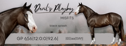 20231129 115729 0003.png