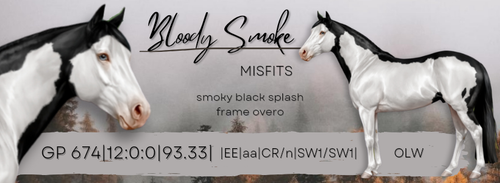 20231129 115729 0002.png