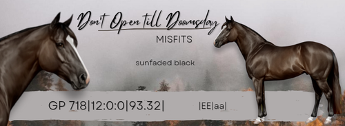 20231129 115729 0007.png