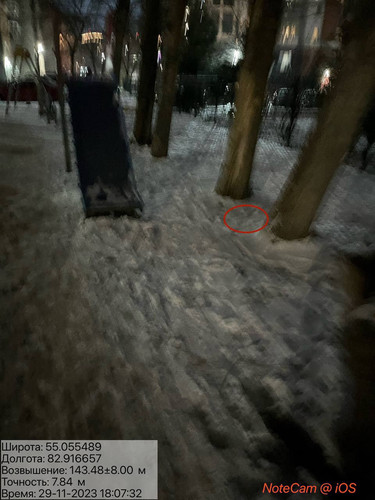 photo 5420426032848162234 y.jpg