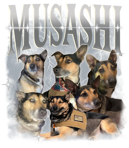Musashi.png