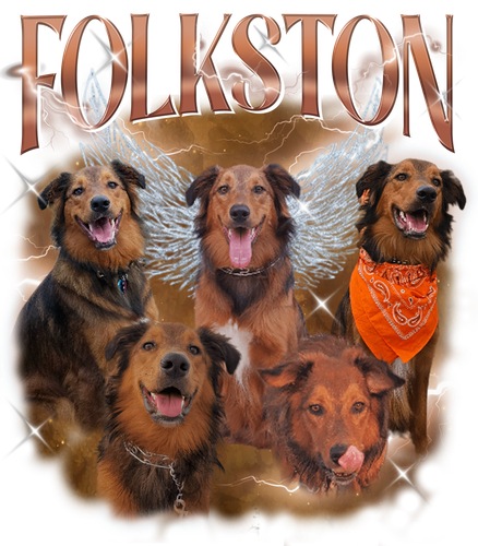 folkston 3101412625.png