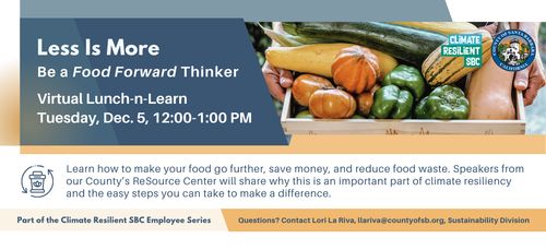 Less Is More Lunch n Learn Banner550.png