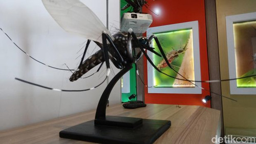 museum nyamuk di pangandaran 4 169.jpg