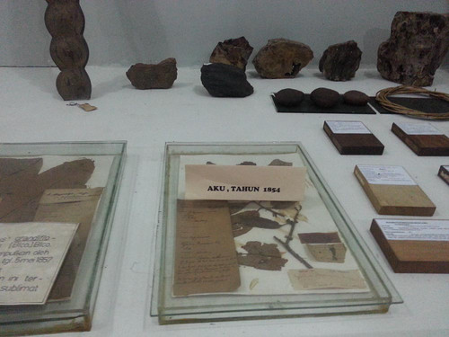Museum Etnobotany Bogor, Herbarium Bogoriensis..jpg