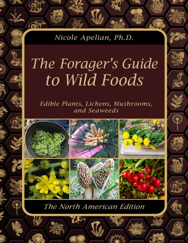 The Foragers Guide to Wild Foods (Nicole Apelia..jpg