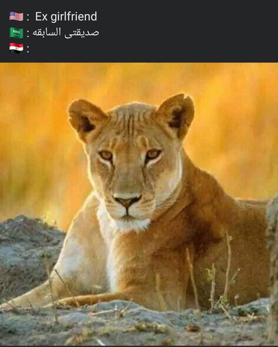 Screenshot ٢٠٢٣١١٣٠ ٢٢٤٢٣٧ Facebook.jpg