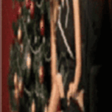 Foro San Francisco.gif