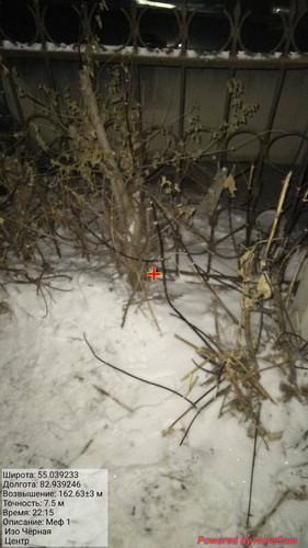 IMG 20231128 235244 530.jpg